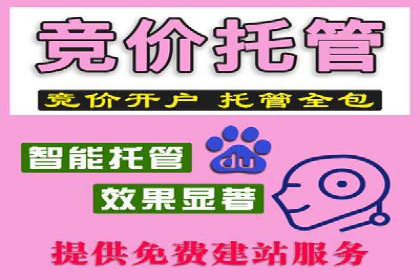 SEM代理成功案例：提升品牌曝光率